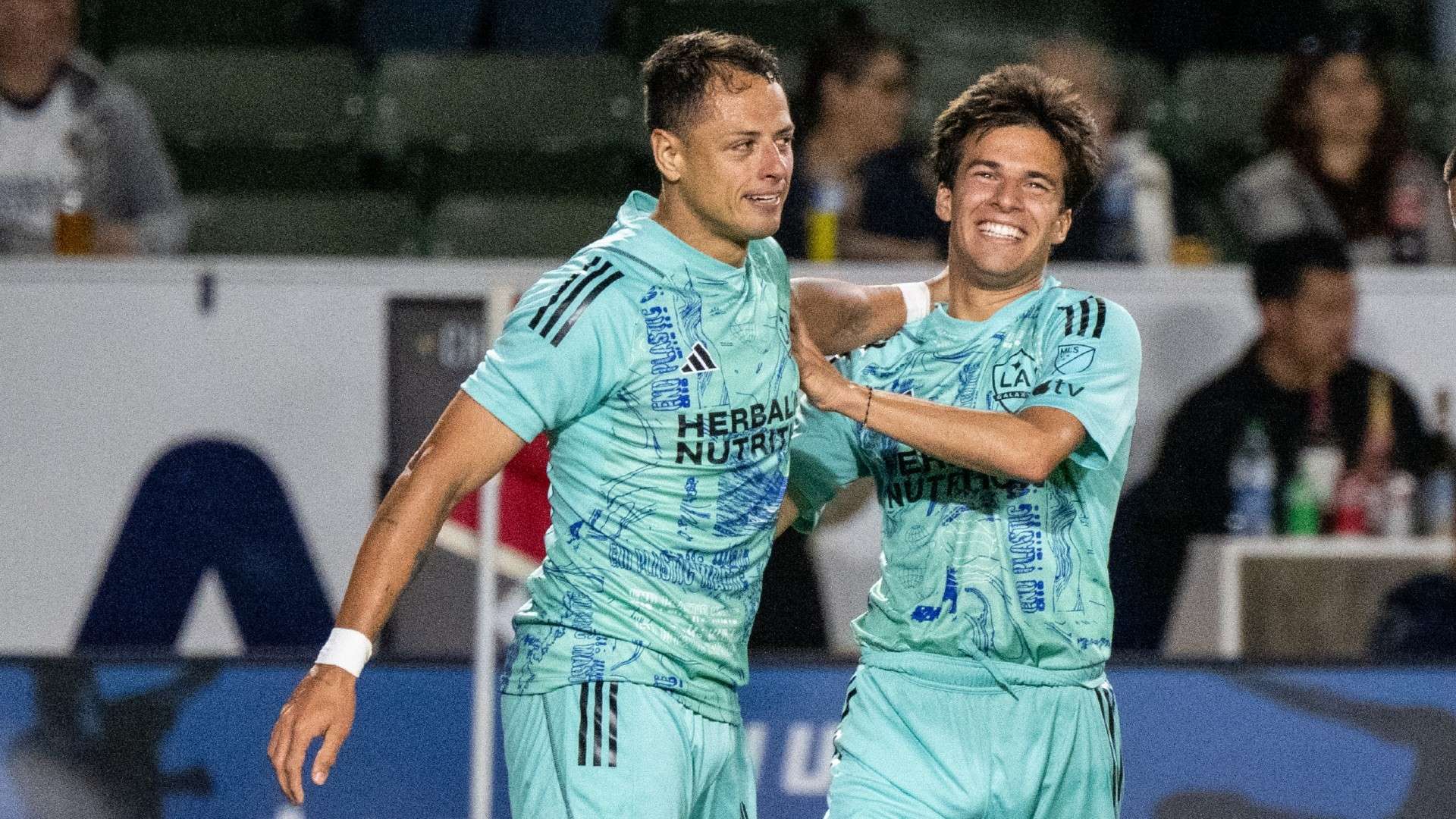 泳池中的百 泳池中的百